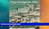 Big Deals  Pieter Bruegel The Elder  Full Read Best Seller