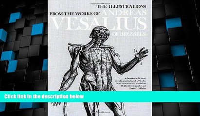 Big Deals  The Illustrations from the Works of Andreas Vesalius of Brussels (Dover Fine Art,