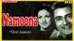 Namoona | Full Hindi Movie | Popular Hindi Movies | Kishore Sahu - Kamini Kaushal