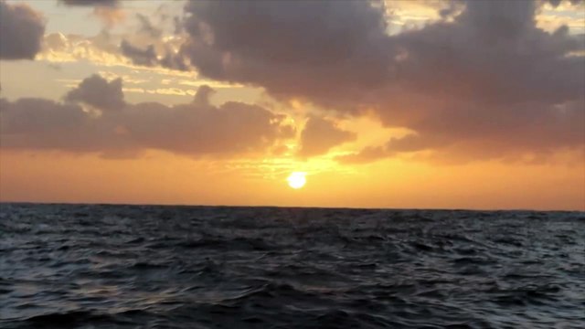 J9 : Message de Fabrice Amedeo sur Newrest-Matmut / Vendée Globe