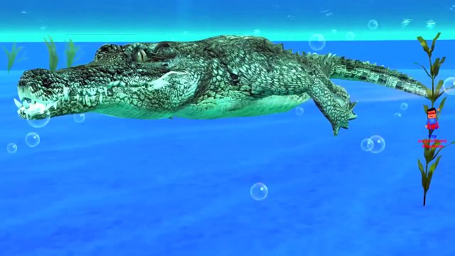 Crocodile Attacks Lion Finger Family Nursery Rhymes | Sharks Cartoon Finger Family Rhymes for Kids
