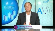 Thierry Nobre, La croissance des entreprises : un modèle obsolète