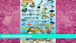 Best Buy Deals  Bermuda Reef Creatures Guide Franko Maps Laminated Fish Card 4