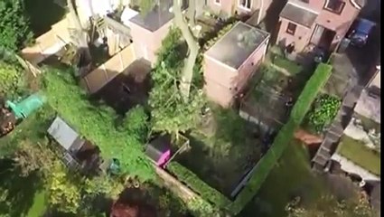 Professional Tree Surgeons in The Nottingham Area