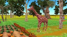 Finger Family Animals Giraffe Funny Cartoons for Children | Finger Family Children Nursery Rhymes