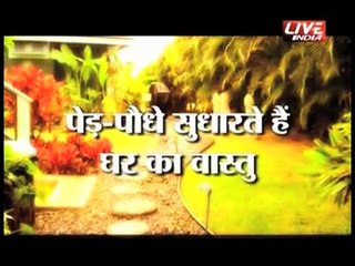 Which Plant-Trees should not be Located at Home (Part2) Vastu  Shastra Tips