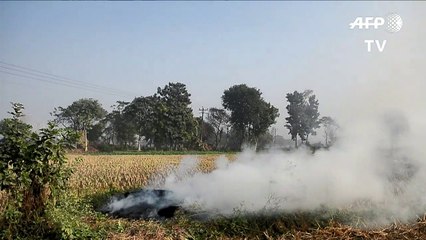 As Delhi chokes, farmers defend scorched earth policy