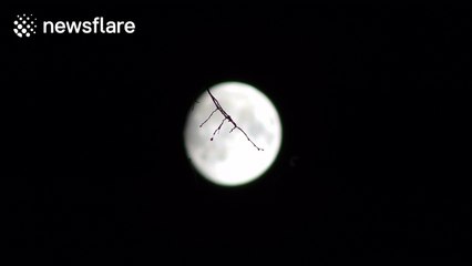 Beautiful moon over Scottish highlands just prior to the Supermoon on 14/11/2016