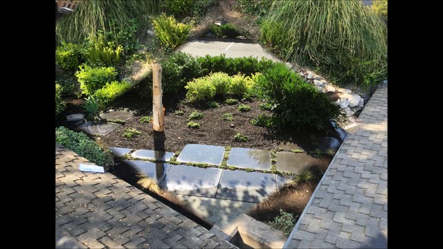 Azul Landscaping Services-(206) 201-0652