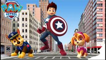 SUPERHERO MARVEL DC COMICS Full Funny Transforming Videos with PAW PATROL SPIDERMAN BATMAN IRON MAN