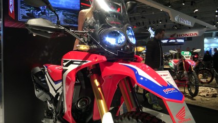HONDA CRF 250 RALLY