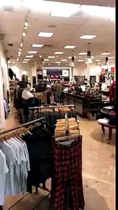 Un cerf sort d'une boutique par la vitrine