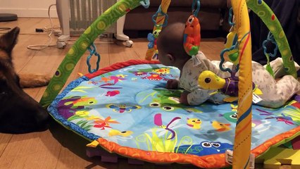 Dog licks baby's head