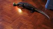 DEATH ROLL Savannah Monitor | Reptile