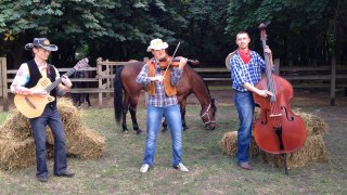 COUNTRY FIDDLE (violin, double bass, guitar)