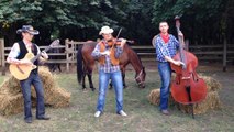 COUNTRY FIDDLE (violin, double bass, guitar)