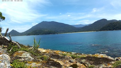 Ultra HD, 2,7k, mergulho, apneia, contemplativa, Ubatuba, Marcelo Ambrogi, natureza submarina, pesquisa de peixes e corais da costa do Litoral Norte, SP, Brasil, novembro, 2016, (48)