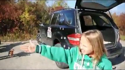Top Funny Video Funny Cats & Dogs 2016  Replay 100 Times You Will Still Laugh Cats  Dogs compilation
