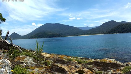 Ultra HD, 2,7k, mergulho, apneia, contemplativa, Ubatuba, Marcelo Ambrogi, natureza submarina, pesquisa de peixes e corais da costa do Litoral Norte, SP, Brasil, novembro, 2016, (50)