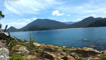 Ultra HD, 2,7k, mergulho, apneia, contemplativa, Ubatuba, Marcelo Ambrogi, natureza submarina, pesquisa de peixes e corais da costa do Litoral Norte, SP, Brasil, novembro, 2016, (51)