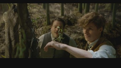 "Monstros Fantásticos" com argumento de J.K. Rowling estreia a 17 de novembro