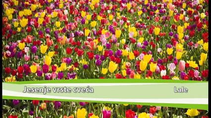 SVET POLJOPRIVREDE 478
