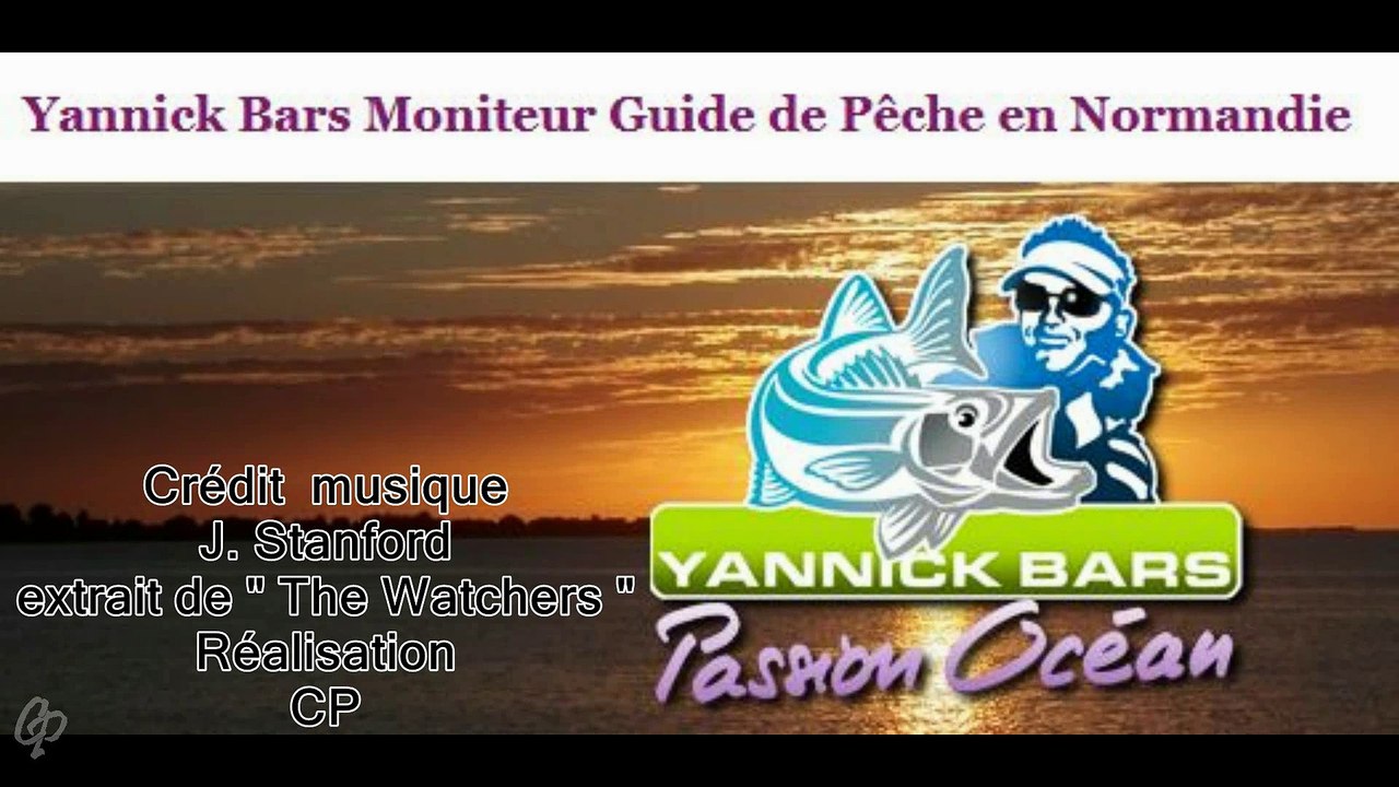 Pêche au bar avec Yannick Bars