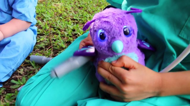 Baby Hatchimals CHECK UP HOSPITAL Newborn Doctor Eli Shots Hatch RARE Hatchimal Draggles Pengualas