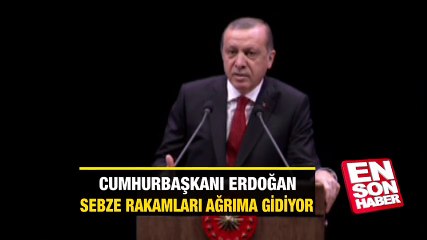 Cumhurbaşkanı Erdoğan: Sebze rakamları ağrıma gidiyor