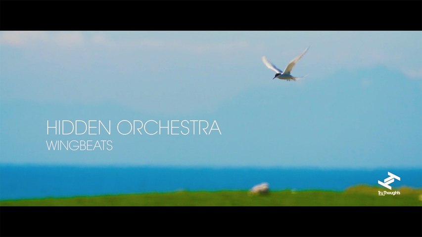 Hidden Orchestra - Wingbeats (Official Video)