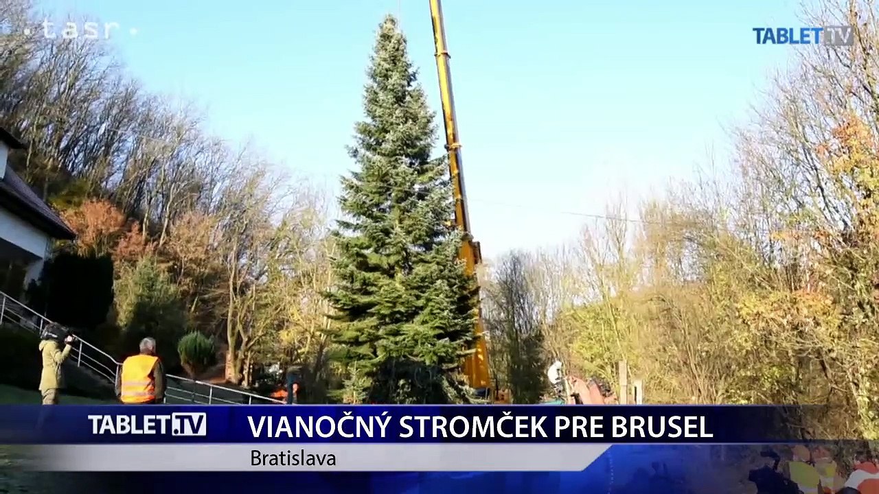 Vyťali jedľu pre vianočný Grand Place v Bruseli