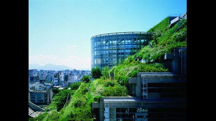 Green Skyscrapers  - Eco-Friendly Architecture