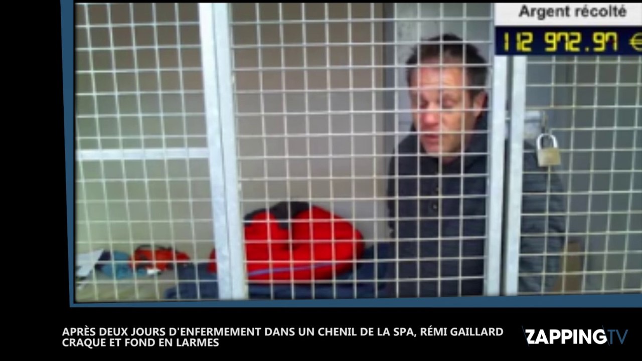 Rémi Gaillard en larmes et "au bout du rouleau" dans sa cage de la SPA (Vidéo)