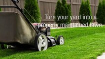 Georgetown TX Lawn Care  Experts