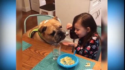 Đây chính là sự ra đời của Sen và Boss