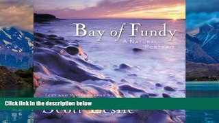 Big Deals  Bay of Fundy: A Natural Portrait  Full Ebooks Best Seller