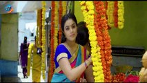 Jayammu Nischayammu Raa Theatrical Trailer | Srinivas Reddy | Purna | Tollywoodfilmnagar
