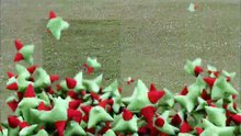 Illusion Pranks - Best of Just For Laughs Gags