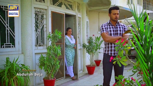 Watch Mein Mehru Hoon Episode 80 on Ary Digital in High Quality 14th November 2016