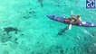 Il fait du canoë au milieu des requins - Le rewind du lundi 14 novembre 2016.