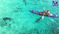 Il fait du canoë au milieu des requins - Le rewind du lundi 14 novembre 2016.