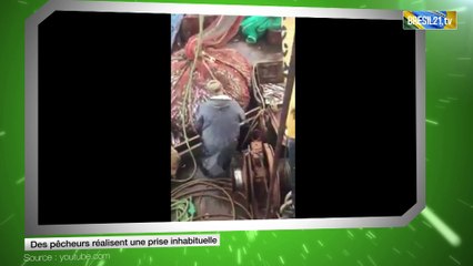 Des pêcheurs réalisent une prise inhabituelle