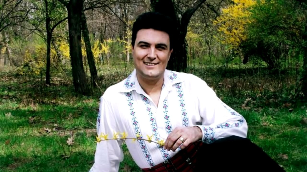 Constantin Magureanu - Intr-o casa langa drum