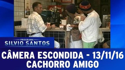 Câmera Escondida (13.11.16) - Cachorro Amigo