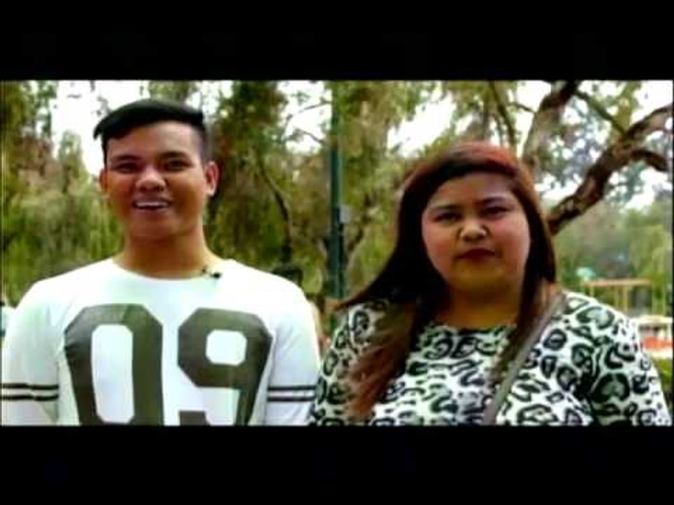 PTV Live Stream