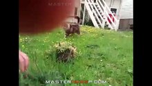 Funny Cats Compilation - funny cats - a funny cat videos compilation 2016 || new hd