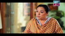 Haal-e-Dil Ep 40 - on Ary Zindagi in High Quality 14th November 2016