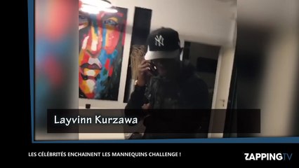 Quand les célébrités enchaînent les Mannequins Challenge (Vidéo)