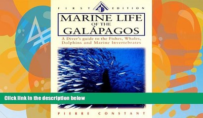 下载视频: Buy NOW  Marine Life of the Galapagos: A Diver s Guide to the Fishes, Whales, Dolphins and Marine