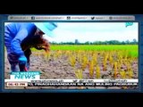 [TheWeekendNews] Halaga ng pinsala ng EL Nino sa Cebu, nasa mahigit P140-M na [05|15|16]